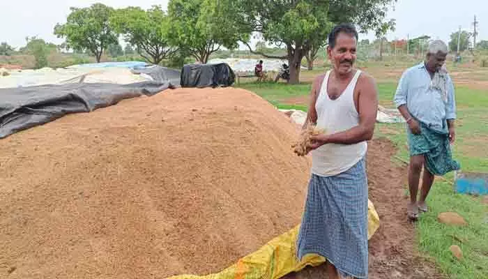 కొనుగోలు కేంద్రంలో మొలకెత్తిన ధాన్యం కొనుగోలు కేంద్రంలో మొలకెత్తిన ధాన్యం