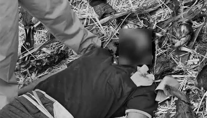 తాటి చెట్టుపై నుంచి పడి గీత కార్మికుడు మృతి తాటి చెట్టుపై నుంచి పడి గీత కార్మికుడు మృతి