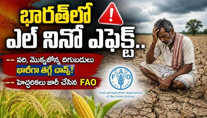 భారత్‌లో ఎల్ నినో ఎఫెక్ట్.. వరి, మొక్కజొన్న దిగుబడులు భారీగా తగ్గే చాన్స్!