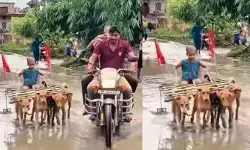 వీడు సామాన్యుడు కాదబ్బా!.. బుడ్డోడి టాలెంట్‌కు నెటిజన్లు ఫిదా