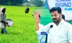 రైతులకు గుడ్ న్యూస్.. బోనస్  ఇచ్చే సన్నవడ్ల విత్తనాలు సబ్సిడీపై పంపిణీకి సీఎం ఆదేశాలు