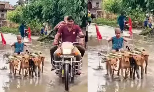 వీడు సామాన్యుడు కాదబ్బా!.. బుడ్డోడి టాలెంట్‌కు నెటిజన్లు ఫిదా
