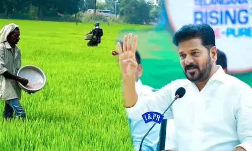 రైతులకు గుడ్ న్యూస్.. బోనస్  ఇచ్చే సన్నవడ్ల విత్తనాలు సబ్సిడీపై పంపిణీకి సీఎం ఆదేశాలు
