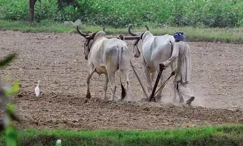 వర్షాల అనిశ్చితి.. వ్యవసాయానికి కొత్త సవాలు