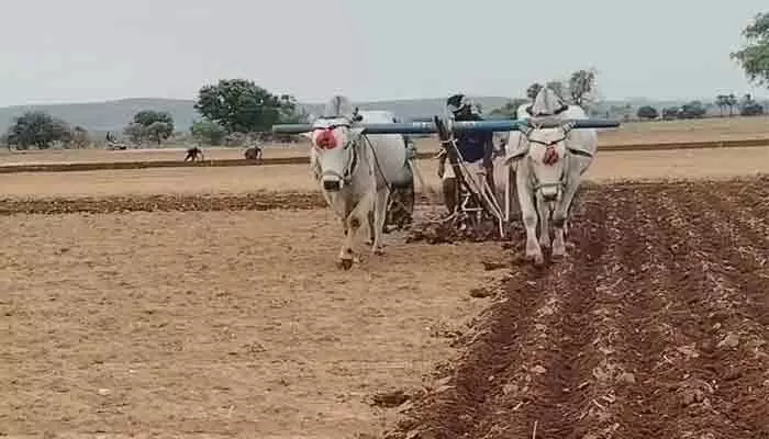 అన్నదాతకు పెట్టుబడి గండం.. కౌలు రైతులకు పూర్తి నిరాశ! అన్నదాతకు పెట్టుబడి గండం.. కౌలు రైతులకు పూర్తి నిరాశ!