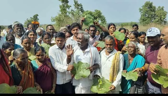 ప్లాస్టిక్ ప్లేట్స్ వద్దు.. విస్తరాకులు ముద్దు..! ప్లాస్టిక్ ప్లేట్స్ వద్దు.. విస్తరాకులు ముద్దు..!