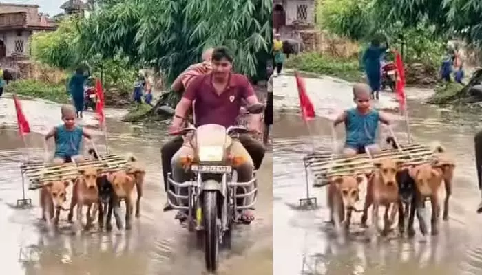 వీడు సామాన్యుడు కాదబ్బా!.. బుడ్డోడి టాలెంట్కు నెటిజన్లు ఫిదా వీడు సామాన్యుడు కాదబ్బా!.. బుడ్డోడి టాలెంట్కు నెటిజన్లు ఫిదా