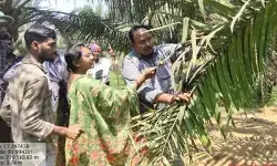 సాగులో ‘సాంకేతిక’ విప్లవం
