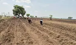 తొలకరి వర్షాలకు.. జోరందుకున్న వ్యవసాయ పనులు తొలకరి వర్షాలకు.. జోరందుకున్న వ్యవసాయ పనులు