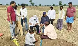 మానుకోటలో ముమ్మరంగా భూ వినియోగ సర్వే మానుకోటలో ముమ్మరంగా భూ వినియోగ సర్వే