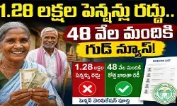 రాష్ట్రంలో 1.28 లక్షల పెన్షన్లు రద్దు.. 48 వేల మంది అర్హులతో కొత్త జాబితా రెడీ