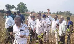 జవహర్ నగర్ లో భూకబ్జా ఆరోపణలు..పట్టించుకోని అధికారులు జవహర్ నగర్ లో భూకబ్జా ఆరోపణలు..పట్టించుకోని అధికారులు