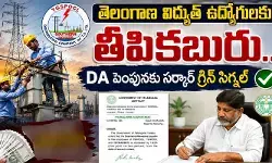 తెలంగాణ విద్యుత్ ఉద్యోగులకు గుడ్న్యూస్.. DA పెంపునకు సర్కార్ గ్రీన్ సిగ్నల్ తెలంగాణ విద్యుత్ ఉద్యోగులకు గుడ్న్యూస్.. DA పెంపునకు సర్కార్ గ్రీన్ సిగ్నల్