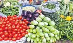 ఈ నెల 27 న కూరగాయల స్టాల్స్ బహిరంగ వేలం.. ఈ నెల 27 న కూరగాయల స్టాల్స్ బహిరంగ వేలం..