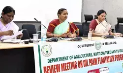 ఆయిల్ ఫాం సాగు లక్ష్యం పూర్తి చేయాలి
