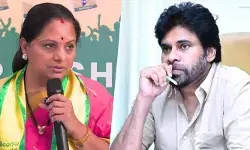 తలకాయ లేని సినియా యాక్టర్‌.. దేశద్రోహం కేసు పెట్టండి?: కల్వకుంట్ల కవిత