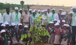 మహ్మదాబాద్‌లో ఘనంగా వనమహోత్సవం