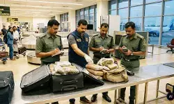 వియత్నాం To బ్యాంకాక్.. రూ.7 కోట్ల హైడ్రోపోనిక్‌ గంజాయి సీజ్