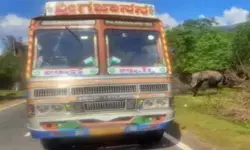 మానవత్వం చూపిస్తే చోరీ చేశారు మానవత్వం చూపిస్తే చోరీ చేశారు