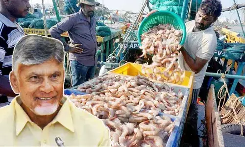 ఆక్వా రైతులకు భారీ ఊరట.. కిలో ఫీడ్‌పై రూ.4 తగ్గిస్తూ కంపెనీల నిర్ణయం