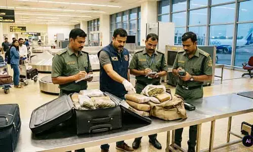 వియత్నాం To బ్యాంకాక్.. రూ.7 కోట్ల హైడ్రోపోనిక్‌ గంజాయి సీజ్