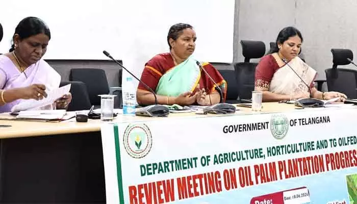 ఆయిల్ ఫాం సాగు లక్ష్యం పూర్తి చేయాలి ఆయిల్ ఫాం సాగు లక్ష్యం పూర్తి చేయాలి