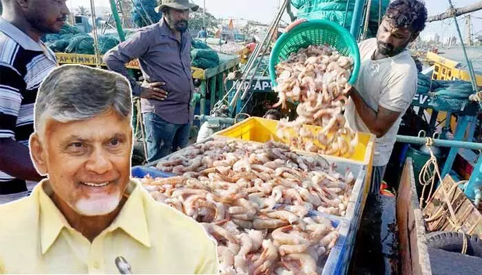ఆక్వా రైతులకు భారీ ఊరట.. కిలో ఫీడ్పై రూ.4 తగ్గిస్తూ కంపెనీల నిర్ణయం ఆక్వా రైతులకు భారీ ఊరట.. కిలో ఫీడ్పై రూ.4 తగ్గిస్తూ కంపెనీల నిర్ణయం