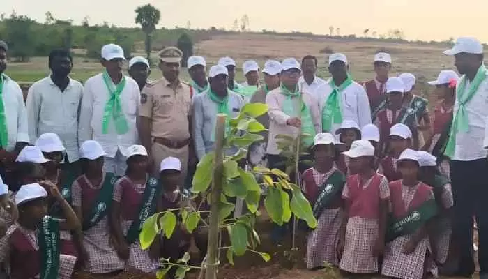 మహ్మదాబాద్లో ఘనంగా వనమహోత్సవం మహ్మదాబాద్లో ఘనంగా వనమహోత్సవం