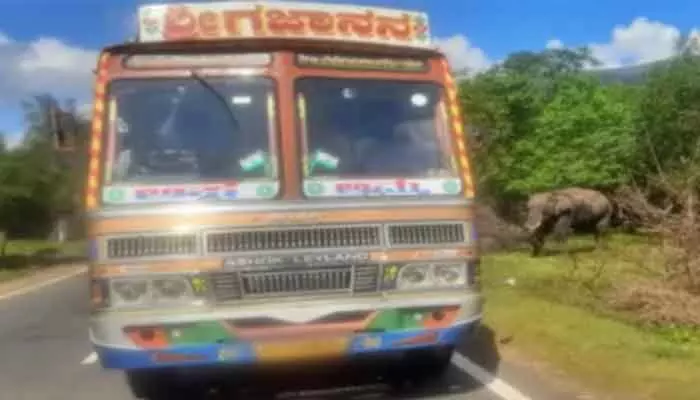 మానవత్వం చూపిస్తే చోరీ చేశారు మానవత్వం చూపిస్తే చోరీ చేశారు