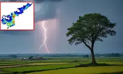 ప్రజలకు అలర్ట్.. రెండు గంటల్లో ఈ జిల్లాల్లో పిడుగులతో వర్షాలు ప్రజలకు అలర్ట్.. రెండు గంటల్లో ఈ జిల్లాల్లో పిడుగులతో వర్షాలు