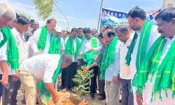 పర్యావరణ పరిరక్షణ ప్రతి ఒక్కరి బాధ్యత : నకిరేకల్ ఎమ్మెల్యే వేముల వీరేశం పర్యావరణ పరిరక్షణ ప్రతి ఒక్కరి బాధ్యత : నకిరేకల్ ఎమ్మెల్యే వేముల వీరేశం