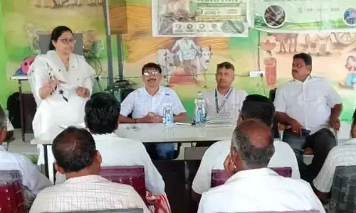 చిరుధాన్యాలు సాగు చేయాలి