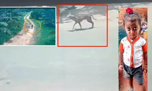 చిన్నారి మిస్సింగ్ కేసు:  ఆ రోజు అసలు అడవిలోకే వెళ్లని పెంపుడు కుక్క