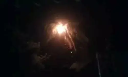 పిడుగు పడి కొబ్బరి చెట్టు దగ్ధం