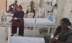 పిచ్చి కుక్క స్వైర విహారం, 9 మందికి గాయాలు