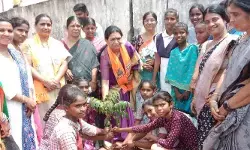 మీ అమ్మ పేరుతో ఓ మొక్కను నాటండి..పర్యావరణం కాపాడండి మీ అమ్మ పేరుతో ఓ మొక్కను నాటండి..పర్యావరణం కాపాడండి