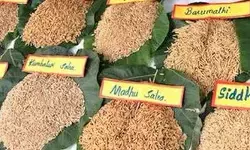 వరి సాగుకు ప్లాన్.. 23 నుంచి విత్తన మేళా వరి సాగుకు ప్లాన్.. 23 నుంచి విత్తన మేళా