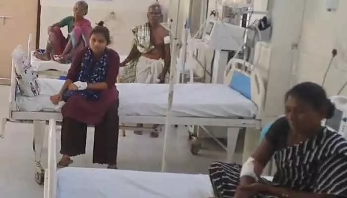 పిచ్చి కుక్క స్వైర విహారం, 9 మందికి గాయాలు పిచ్చి కుక్క స్వైర విహారం, 9 మందికి గాయాలు