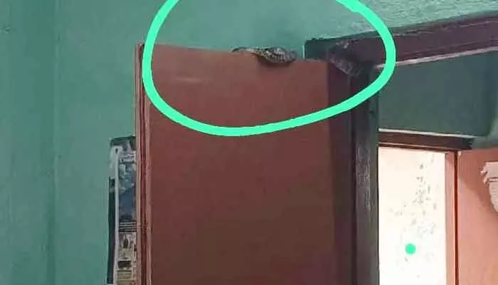సిర్పూర్ (యు) గ్రామ పంచాయతీ కార్యాలయంలో పాము హల్ చల్.. సిర్పూర్ (యు) గ్రామ పంచాయతీ కార్యాలయంలో పాము హల్ చల్..