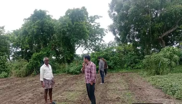 లైన్మెన్ అక్రమాలపై విజిలెన్స్ విచారణ.. లైన్మెన్ అక్రమాలపై విజిలెన్స్ విచారణ..