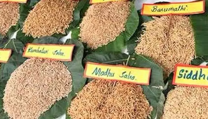 వరి సాగుకు ప్లాన్.. 23 నుంచి విత్తన మేళా వరి సాగుకు ప్లాన్.. 23 నుంచి విత్తన మేళా