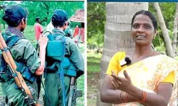 ఆయుధాలు వీడి.. విద్యా బాటలో విజయం ఆయుధాలు వీడి.. విద్యా బాటలో విజయం