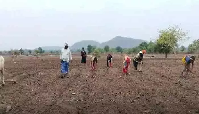 ఖరీఫ్ కలవరం.. కనిపించని వరుణుడి జాడ! ఖరీఫ్ కలవరం.. కనిపించని వరుణుడి జాడ!