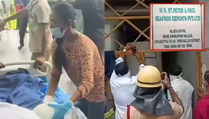 రొయ్యల ఫ్యాక్టరీలో ఘోరప్రమాదం.. గ్యాస్ లీకై ఏడుగురు మృతి రొయ్యల ఫ్యాక్టరీలో ఘోరప్రమాదం.. గ్యాస్ లీకై ఏడుగురు మృతి