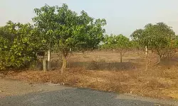 ప్రకృతి ముసుగులో అక్రమ దందా.. పచ్చదనం పేరుతో పచ్చి మోసం! ప్రకృతి ముసుగులో అక్రమ దందా.. పచ్చదనం పేరుతో పచ్చి మోసం!