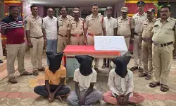 దేవాలయాల్లో చోరీలు.. ముగ్గురు దొంగల అరెస్ట్ దేవాలయాల్లో చోరీలు.. ముగ్గురు దొంగల అరెస్ట్