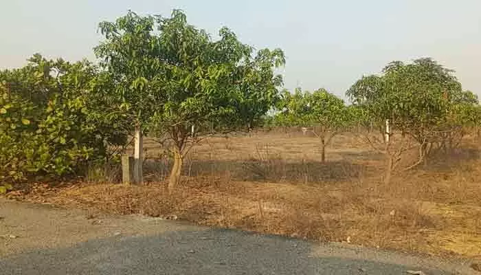 ప్రకృతి ముసుగులో అక్రమ దందా.. పచ్చదనం పేరుతో పచ్చి మోసం! ప్రకృతి ముసుగులో అక్రమ దందా.. పచ్చదనం పేరుతో పచ్చి మోసం!