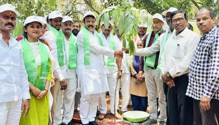 వన మహోత్సవంలో మొక్కలు నాటిన ఎమ్మెల్యే వన మహోత్సవంలో మొక్కలు నాటిన ఎమ్మెల్యే