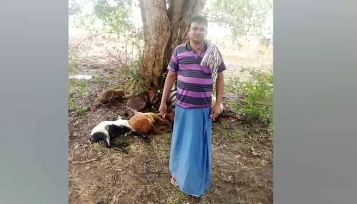 ఖానాపూర్లో ప్రకృతి బీభత్సం ఖానాపూర్లో ప్రకృతి బీభత్సం