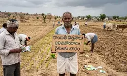 పెట్టుబడి సాయం సాకుతో రాయితీ విత్తనాలకు మంగళం పెట్టుబడి సాయం సాకుతో రాయితీ విత్తనాలకు మంగళం